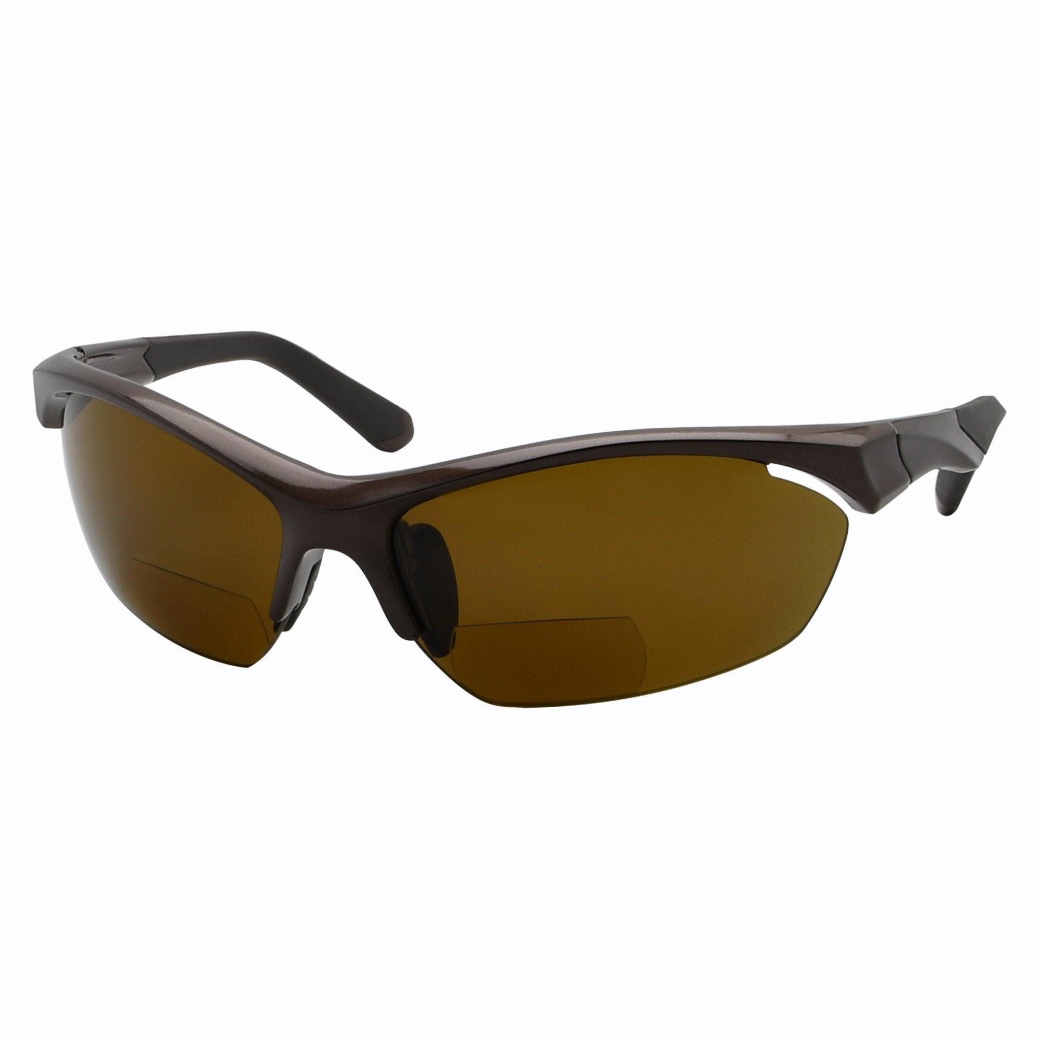 Polarized prescription cheap bifocal sunglasses